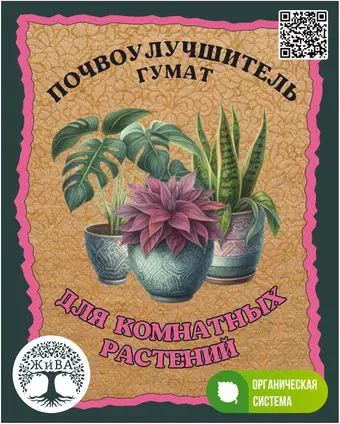 Как улучшить рост комнатных растений и сделать их сильными и зелёными — статья о выращивании и урожайности