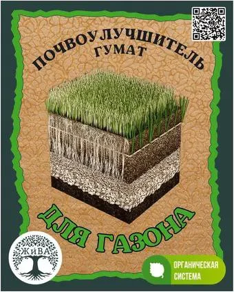 Как сделать густой и зелёный газон без проплешин — статья о выращивании и урожайности