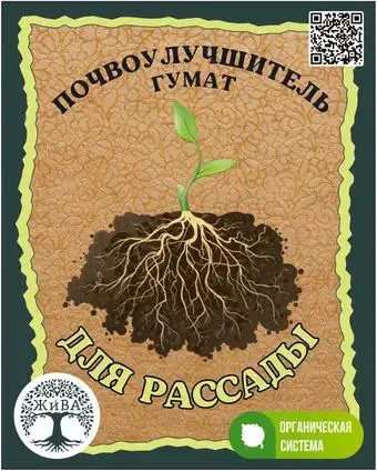 Как вырастить крепкую рассаду и избежать вытягивания — статья о выращивании и урожайности