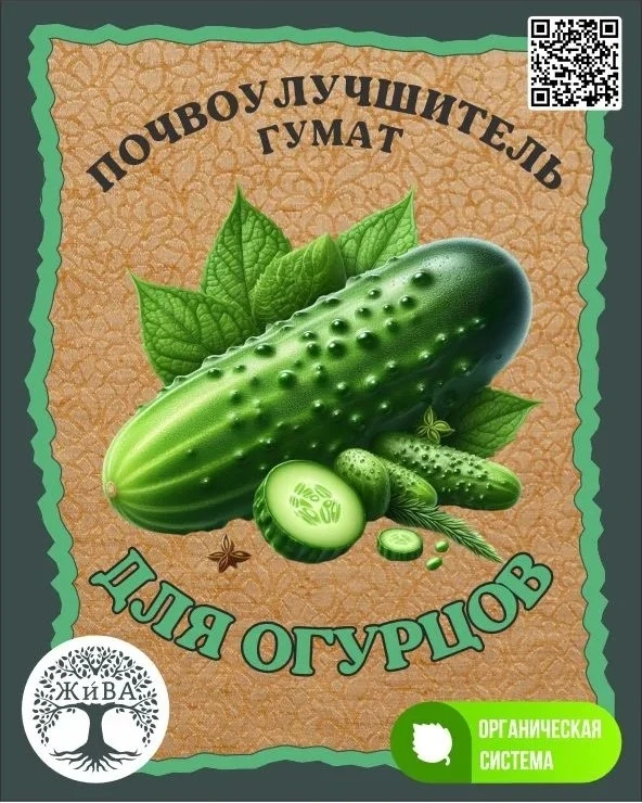 Как увеличить урожай огурцов и повысить всхожесть семян — статья о выращивании и урожайности
